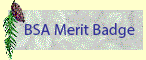 BSA Merit Badge